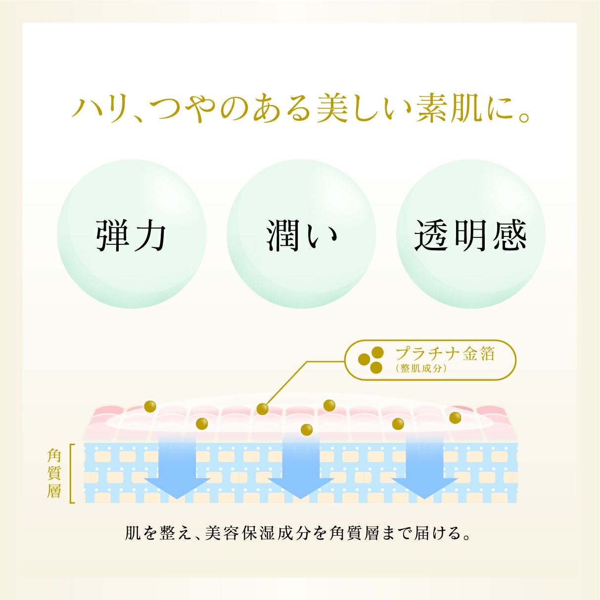 ローション（化粧水） | 箔座オンラインショップ