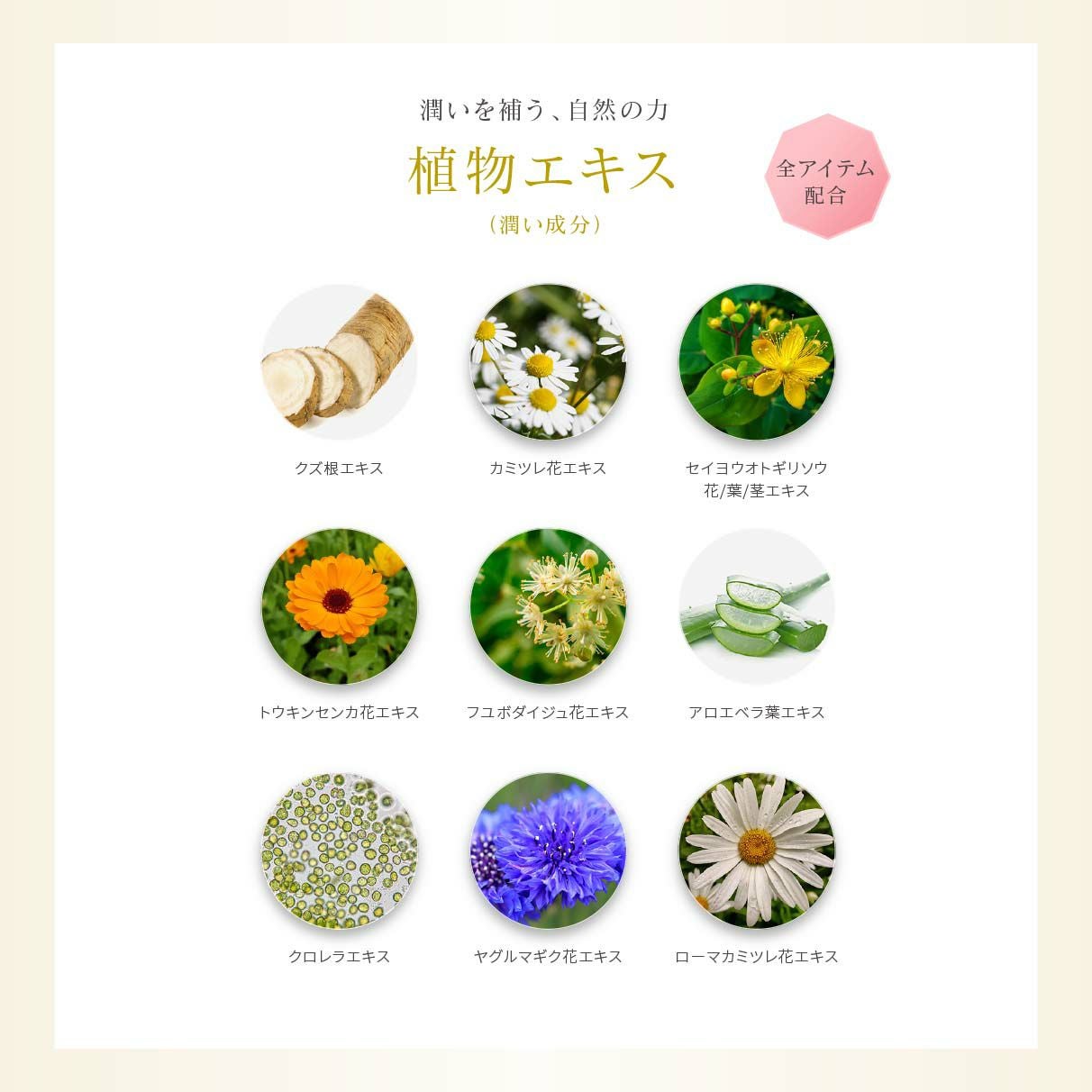 ローション（化粧水） | 箔座オンラインショップ