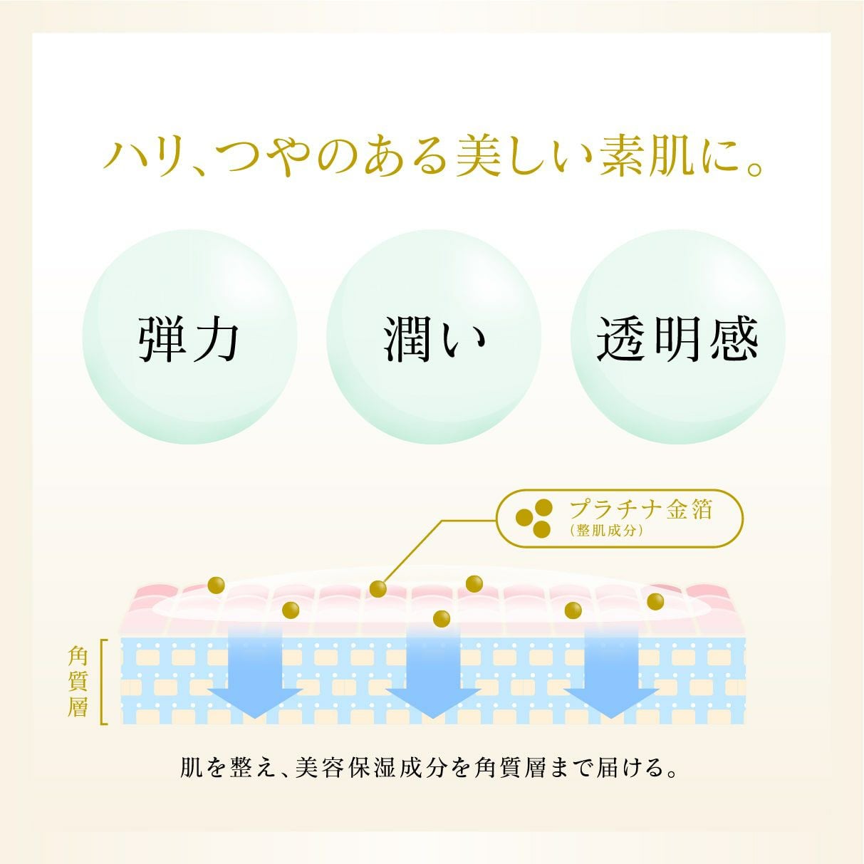 エッセンス（美容液） | 箔座オンラインショップ