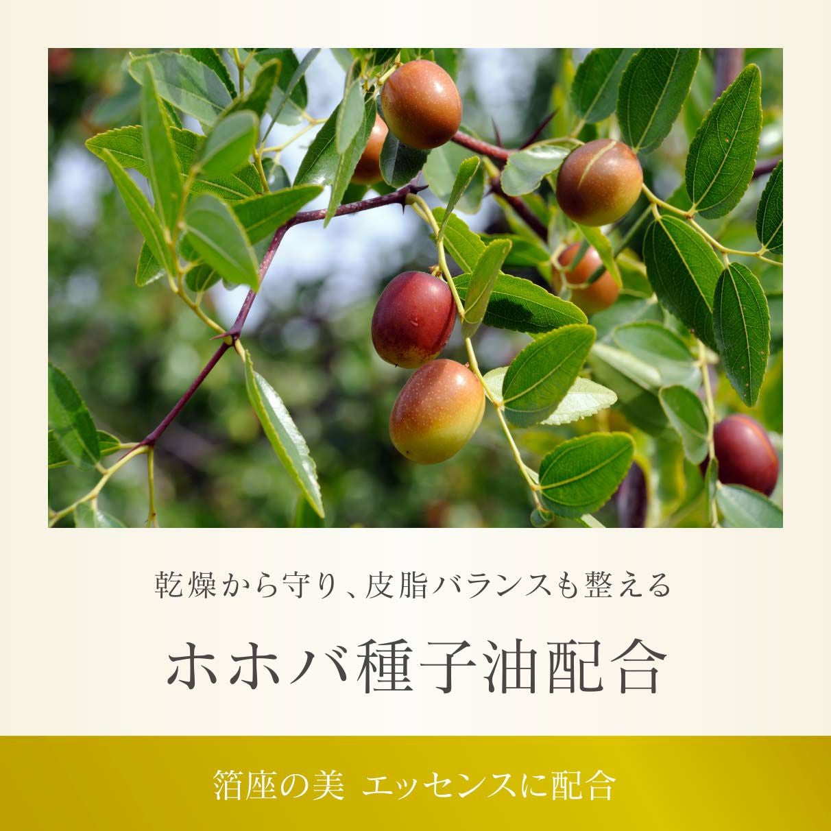 エッセンス（美容液） | 箔座オンラインショップ