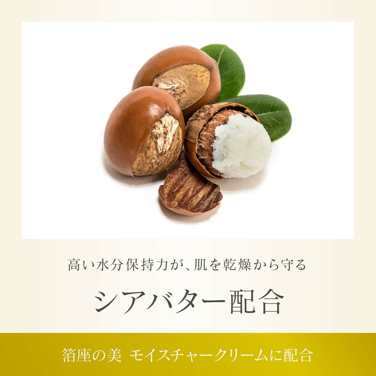 モイスチャークリーム（保湿クリーム） | 箔座オンラインショップ