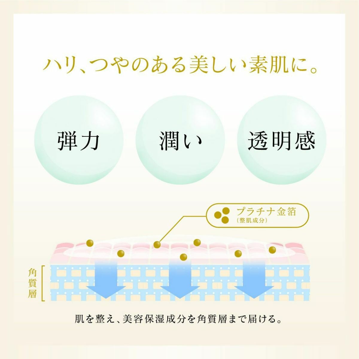 スキンケアトライアル3点セット 【初回限定・送料無料】 | 箔座