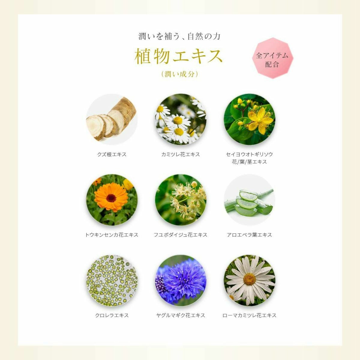 スキンケアトライアル3点セット 【初回限定・送料無料】 | 箔座